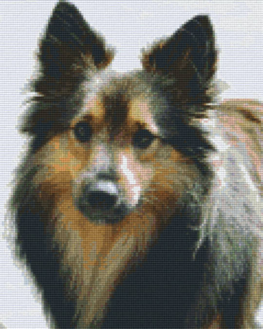 Shetland Pup Nine [9] Baseplate PixelHobby Mini-mosaic Art Kit